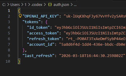 auth.json 内容
